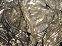 Close up sterling 1.webp