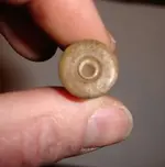 bullet casing 2.webp
