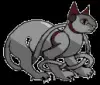 avatar_5017.webp