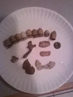 bullets.webp