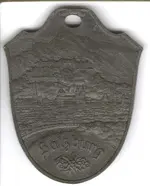 medal 2.webp