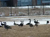 20100215_4.webp