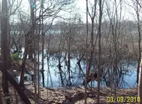 todays finds 3.webp