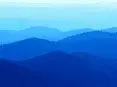 avatar_17741.webp