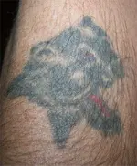 panther1.webp