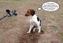 Digger.webp