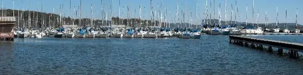 2010_0221guntersville0004.webp