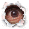 eye1.gif