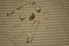 IMGP2971.webp