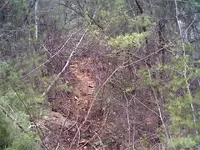 rocktrail#1.webp