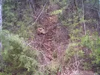rocktrail#2.webp