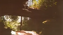 redbyrdarch.webp