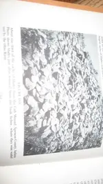 crib mound cache 003.webp
