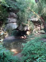 08-29-09 018.webp