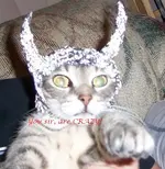 tin_foil_cat_hat.webp