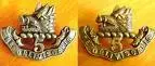 boars head 5th royal scots.webp