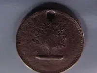Dec_09_tree_coin_2.webp