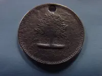 Dec_09_tree_coin_3.webp