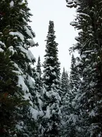 100_1014.webp