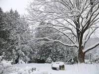 side yard feb snow.webp