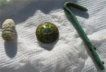 RELIC1.webp