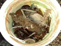 JUNK.webp