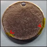 tree token.webp