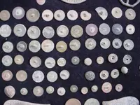 HBs buttons.webp