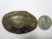 DSCF5135.webp