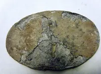 DSCF5137.webp