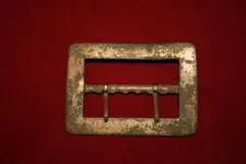 buckle back.webp