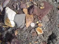 Fossil Hunt 010.webp