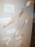 ice glider.webp