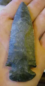 HPIM2804.webp