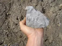 Fossil Hunt 005.webp
