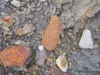 Fossil Hunt 002.webp