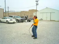 whips_2.webp