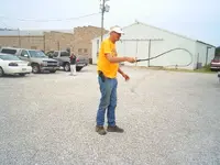 whips 3.webp