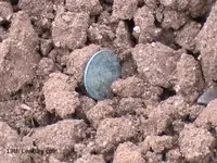iuhuihui 084.webp