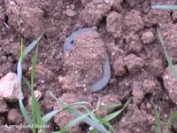 iuhuihui 089.webp