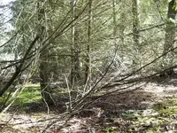 DSCN0929.webp