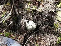 DSCN0928.webp