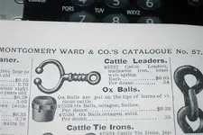 ox balls leader.webp