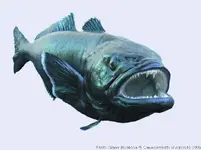 patagonian-toothfish.webp