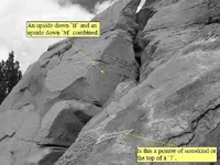 upsidedownB Merged.webp