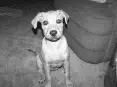 avatar_46631.webp
