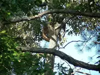 100_1407.webp