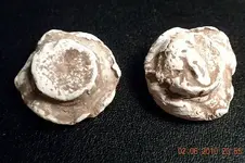 6 fired lead.webp