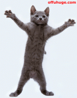animated136.gif