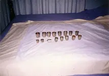 Cups.webp
